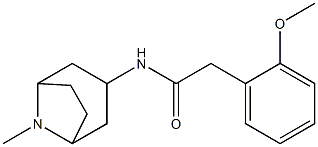 N1-(8-methyl-8-azabicyclo[3.2.1]oct-3-yl)-2-(2-methoxyphenyl)acetamide 结构式