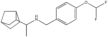 (1-{bicyclo[2.2.1]heptan-2-yl}ethyl)({[4-(difluoromethoxy)phenyl]methyl})amine 结构式