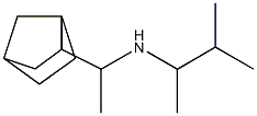 (1-{bicyclo[2.2.1]heptan-2-yl}ethyl)(3-methylbutan-2-yl)amine 结构式