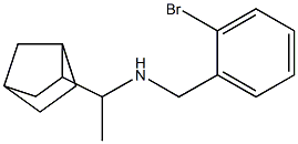 (1-{bicyclo[2.2.1]heptan-2-yl}ethyl)[(2-bromophenyl)methyl]amine 结构式