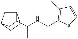 (1-{bicyclo[2.2.1]heptan-2-yl}ethyl)[(3-methylthiophen-2-yl)methyl]amine 结构式