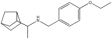 (1-{bicyclo[2.2.1]heptan-2-yl}ethyl)[(4-ethoxyphenyl)methyl]amine 结构式