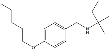 (2-methylbutan-2-yl)({[4-(pentyloxy)phenyl]methyl})amine 结构式