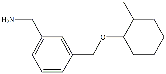 (3-{[(2-methylcyclohexyl)oxy]methyl}phenyl)methanamine 结构式