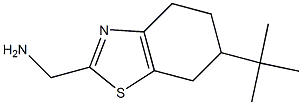 (6-tert-butyl-4,5,6,7-tetrahydro-1,3-benzothiazol-2-yl)methanamine 结构式