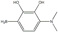 [4-(dimethylamino)phenyl]boranediol 结构式