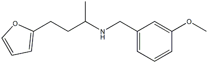 [4-(furan-2-yl)butan-2-yl][(3-methoxyphenyl)methyl]amine 结构式