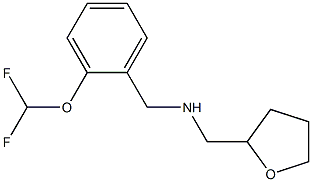 {[2-(difluoromethoxy)phenyl]methyl}(oxolan-2-ylmethyl)amine 结构式