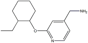 {2-[(2-ethylcyclohexyl)oxy]pyridin-4-yl}methanamine 结构式