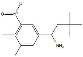 1-(3,4-dimethyl-5-nitrophenyl)-3,3-dimethylbutan-1-amine 结构式