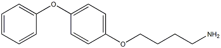 1-(4-aminobutoxy)-4-phenoxybenzene 结构式