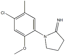 1-(4-chloro-2-methoxy-5-methylphenyl)pyrrolidin-2-imine 结构式