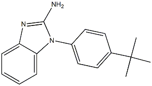 1-(4-tert-butylphenyl)-1H-1,3-benzodiazol-2-amine 结构式