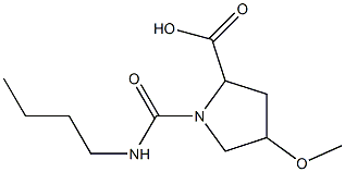 1-(butylcarbamoyl)-4-methoxypyrrolidine-2-carboxylic acid 结构式
