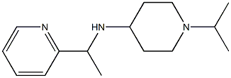 1-(propan-2-yl)-N-[1-(pyridin-2-yl)ethyl]piperidin-4-amine 结构式