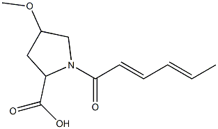1-[(2E,4E)-hexa-2,4-dienoyl]-4-methoxypyrrolidine-2-carboxylic acid 结构式
