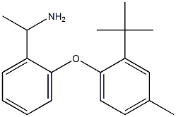 1-[2-(2-tert-butyl-4-methylphenoxy)phenyl]ethan-1-amine 结构式