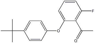 1-[2-(4-tert-butylphenoxy)-6-fluorophenyl]ethan-1-one 结构式