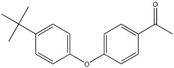 1-[4-(4-tert-butylphenoxy)phenyl]ethan-1-one 结构式