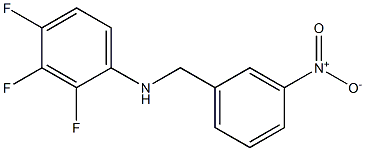 2,3,4-trifluoro-N-[(3-nitrophenyl)methyl]aniline 结构式