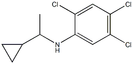 2,4,5-trichloro-N-(1-cyclopropylethyl)aniline 结构式