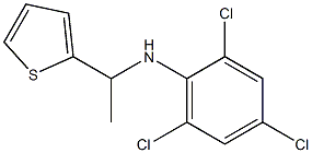 2,4,6-trichloro-N-[1-(thiophen-2-yl)ethyl]aniline 结构式