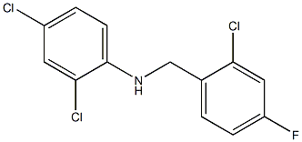 2,4-dichloro-N-[(2-chloro-4-fluorophenyl)methyl]aniline 结构式