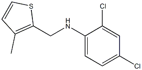 2,4-dichloro-N-[(3-methylthiophen-2-yl)methyl]aniline 结构式