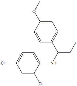 2,4-dichloro-N-[1-(4-methoxyphenyl)propyl]aniline 结构式