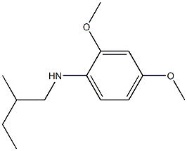 2,4-dimethoxy-N-(2-methylbutyl)aniline 结构式