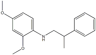 2,4-dimethoxy-N-(2-phenylpropyl)aniline 结构式