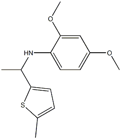 2,4-dimethoxy-N-[1-(5-methylthiophen-2-yl)ethyl]aniline 结构式