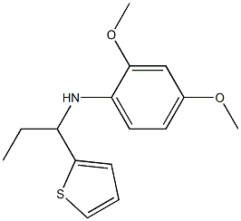 2,4-dimethoxy-N-[1-(thiophen-2-yl)propyl]aniline 结构式