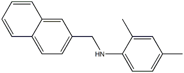 2,4-dimethyl-N-(naphthalen-2-ylmethyl)aniline 结构式