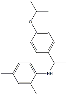 2,4-dimethyl-N-{1-[4-(propan-2-yloxy)phenyl]ethyl}aniline 结构式