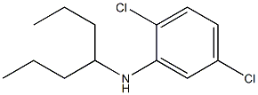 2,5-dichloro-N-(heptan-4-yl)aniline 结构式