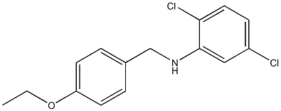 2,5-dichloro-N-[(4-ethoxyphenyl)methyl]aniline 结构式