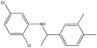 2,5-dichloro-N-[1-(3,4-dimethylphenyl)ethyl]aniline 结构式