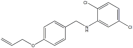 2,5-dichloro-N-{[4-(prop-2-en-1-yloxy)phenyl]methyl}aniline 结构式