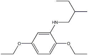 2,5-diethoxy-N-(2-methylbutyl)aniline 结构式