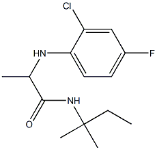 2-[(2-chloro-4-fluorophenyl)amino]-N-(2-methylbutan-2-yl)propanamide 结构式