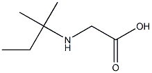 2-[(2-methylbutan-2-yl)amino]acetic acid 结构式