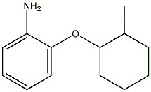 2-[(2-methylcyclohexyl)oxy]aniline 结构式