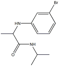 2-[(3-bromophenyl)amino]-N-(propan-2-yl)propanamide 结构式