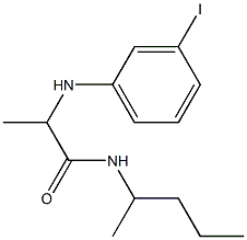 2-[(3-iodophenyl)amino]-N-(pentan-2-yl)propanamide 结构式