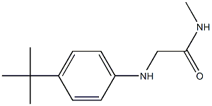 2-[(4-tert-butylphenyl)amino]-N-methylacetamide 结构式