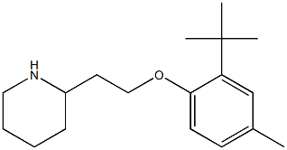 2-[2-(2-tert-butyl-4-methylphenoxy)ethyl]piperidine 结构式
