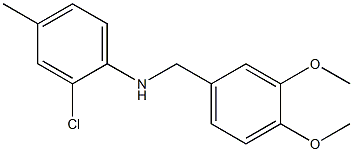 2-chloro-N-[(3,4-dimethoxyphenyl)methyl]-4-methylaniline 结构式