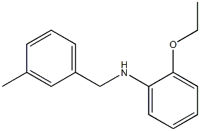 2-ethoxy-N-[(3-methylphenyl)methyl]aniline 结构式