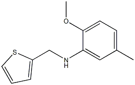 2-methoxy-5-methyl-N-(thiophen-2-ylmethyl)aniline 结构式